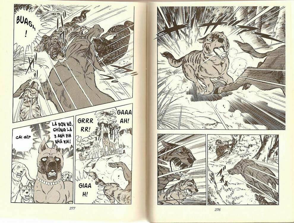 Chú Chó Có Nghĩa - Ginga Nagareboshi Gin: Chapter 12