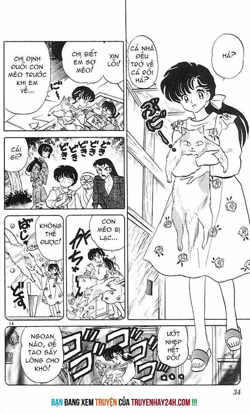 Suối Lời Nguyền: Chapter 346