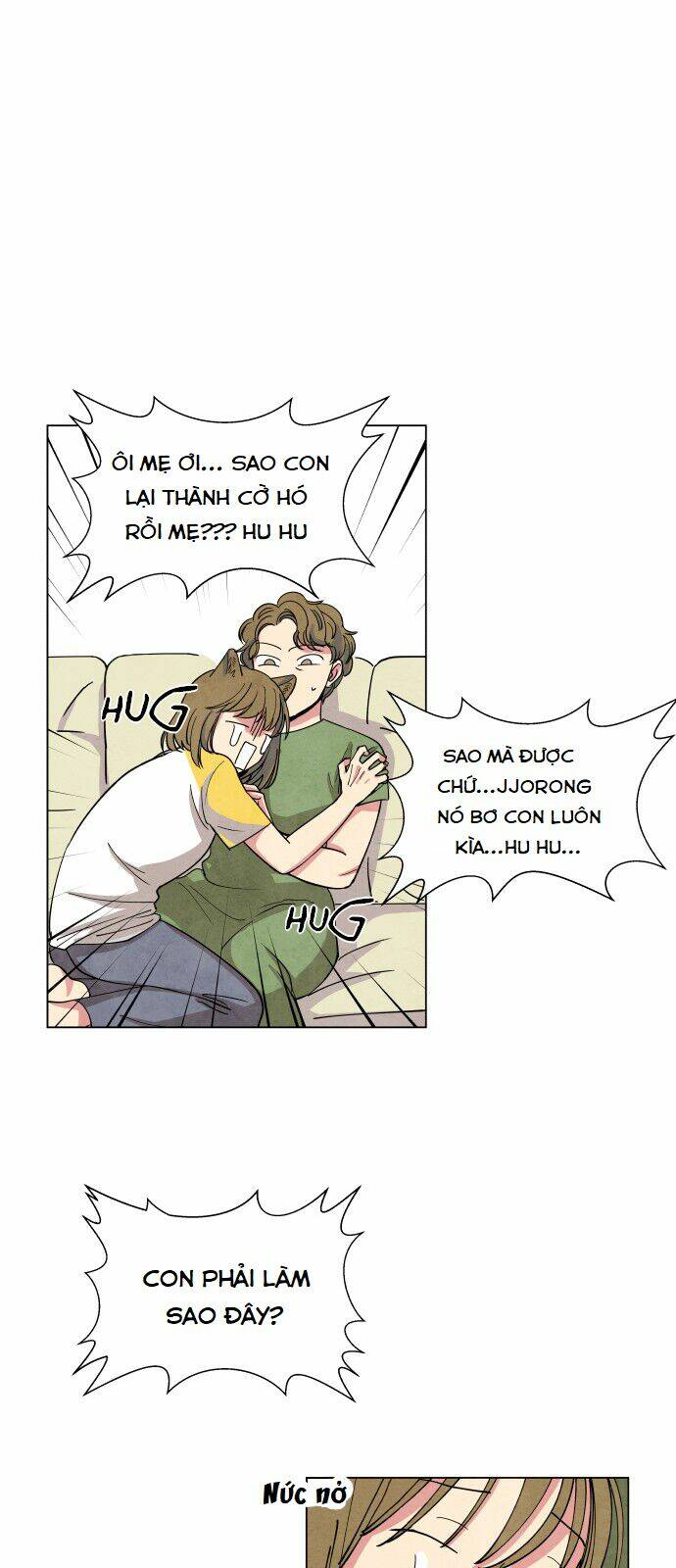 Tai Sói Và Mũ Đỏ: Chapter 1