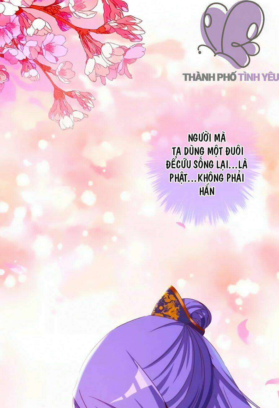 Vương Phi, Vương Gia Nhà Ngươi Không Ngốc Nữa Rồi: Chapter 9