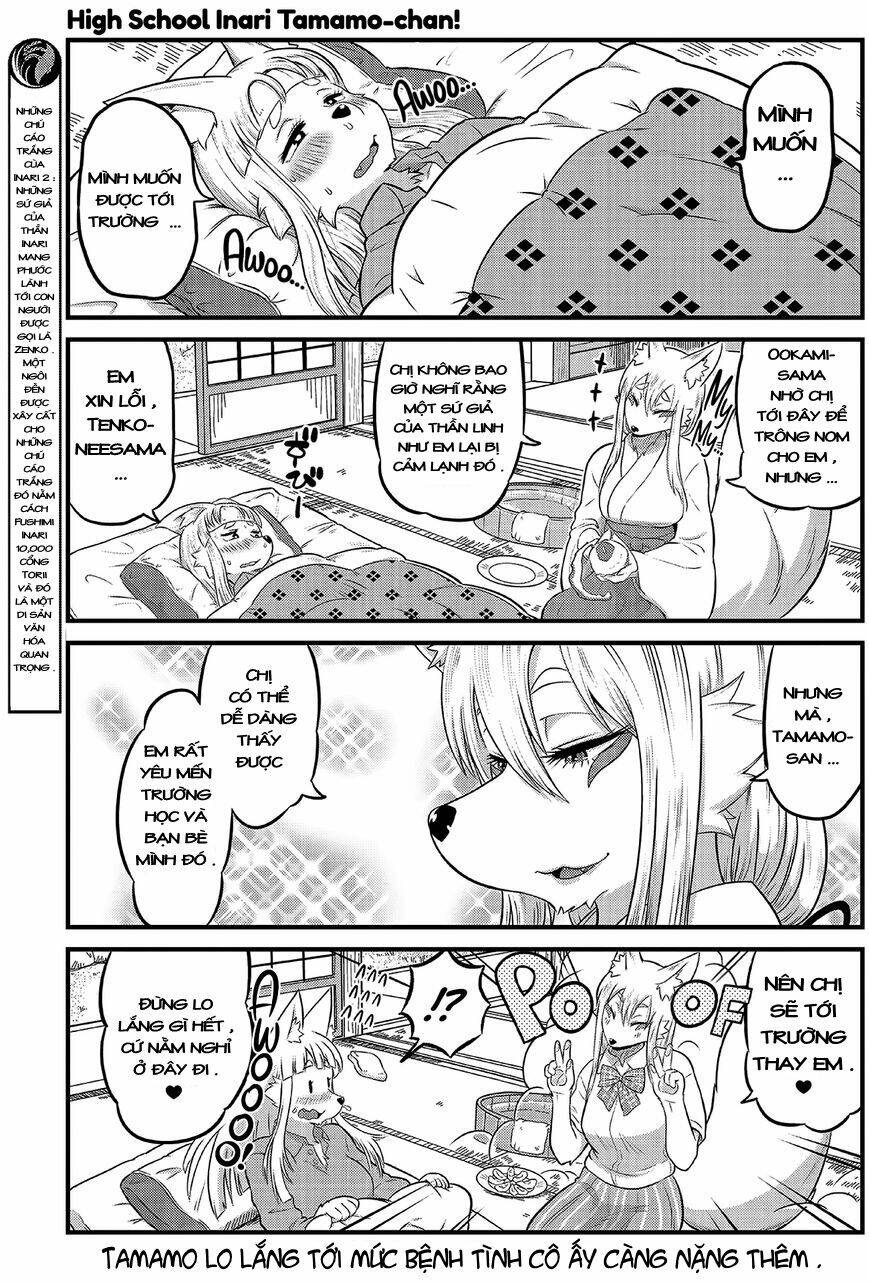 High School Inari Tamamo-Chan: Chapter 10