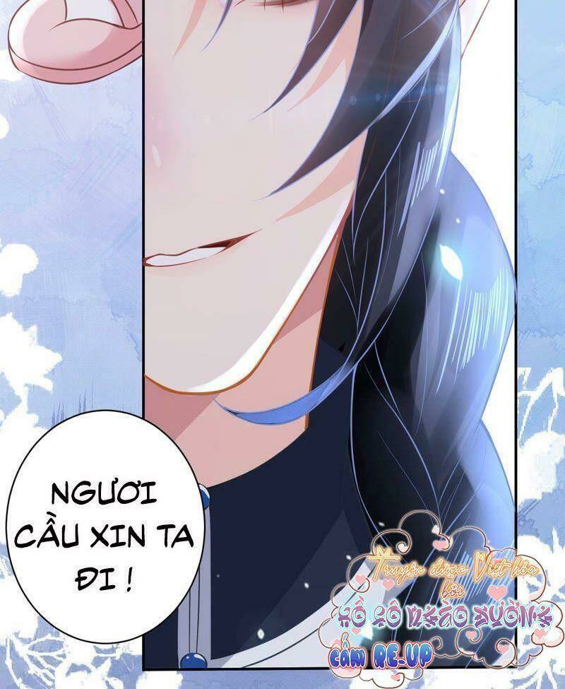 Quận Chúa Vững Vàng, Thiết Lập Nhân Vật Không Thể Vỡ: Chapter 16