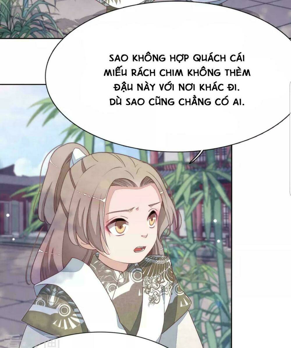 Xuyên Về Cổ Đại Làm Quốc Bảo: Chapter 7