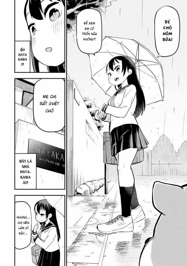 Okami-Kun Wa Hayakawa-San Ni Katenai: Chapter 4