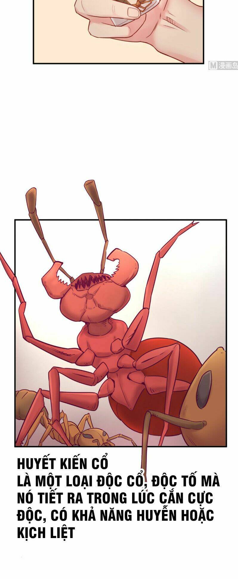 Bác Sĩ Riêng Của Nữ Thần: Chapter 15