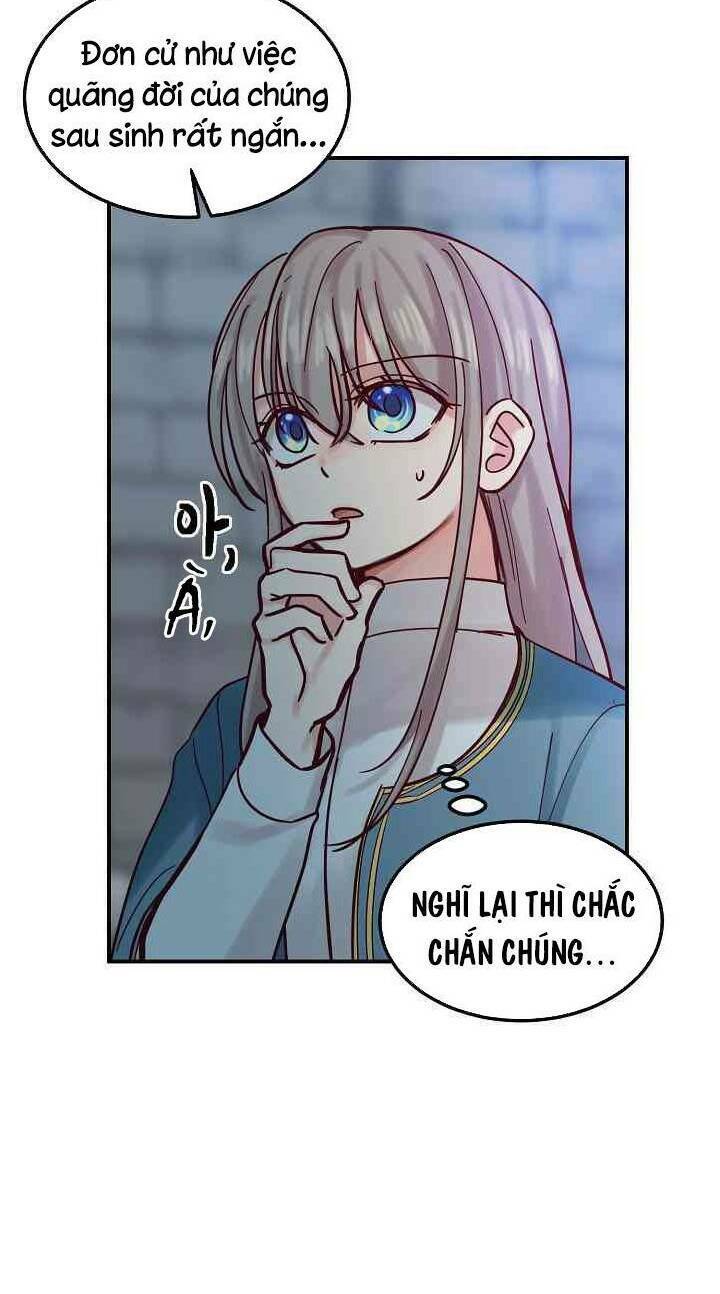 Amina - Nữ Thần Đèn: Chapter 27