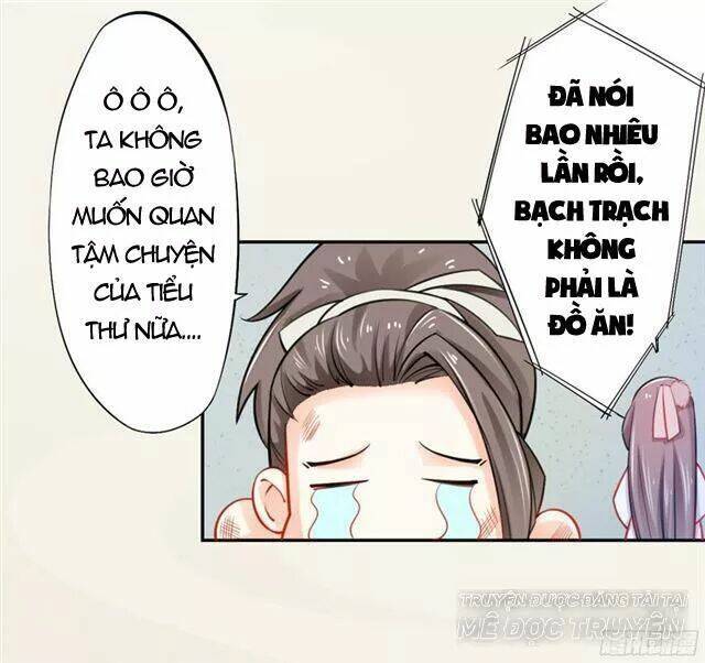 Tuyệt Thế Luyện Đan Sư: Chapter 17