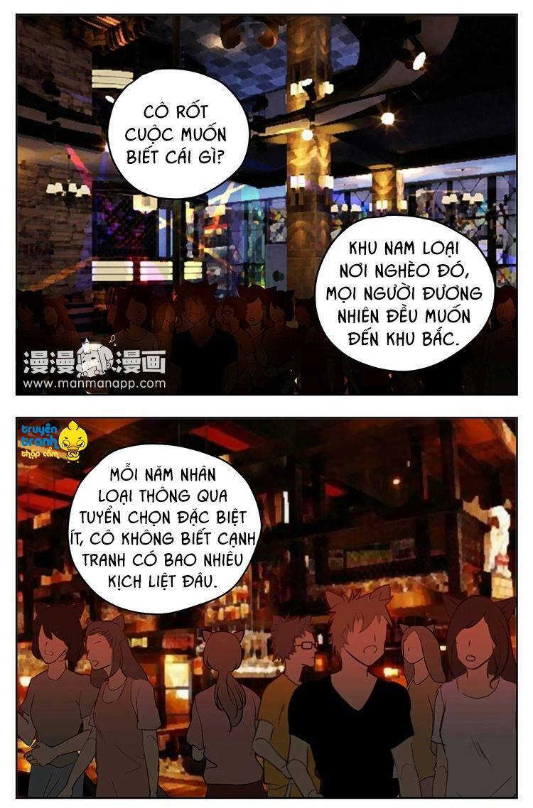 Cứu mạng ! Loài mèo thống trị thế giới rồi !: Chapter 18