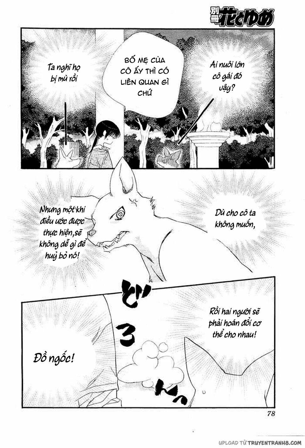 Orange Chocolate: Chapter 8