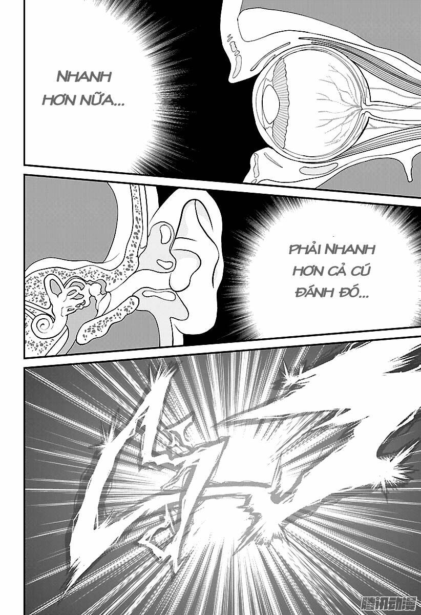 New Prince Of Tennis: Chapter 206