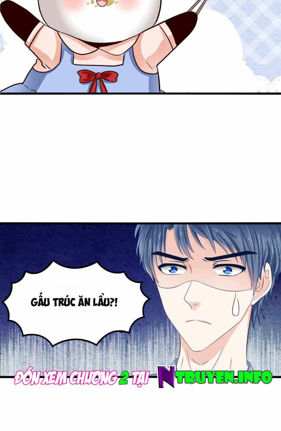 Tôi Bị Gấu Trúc Nhìn Trúng Rồi: Chapter 1