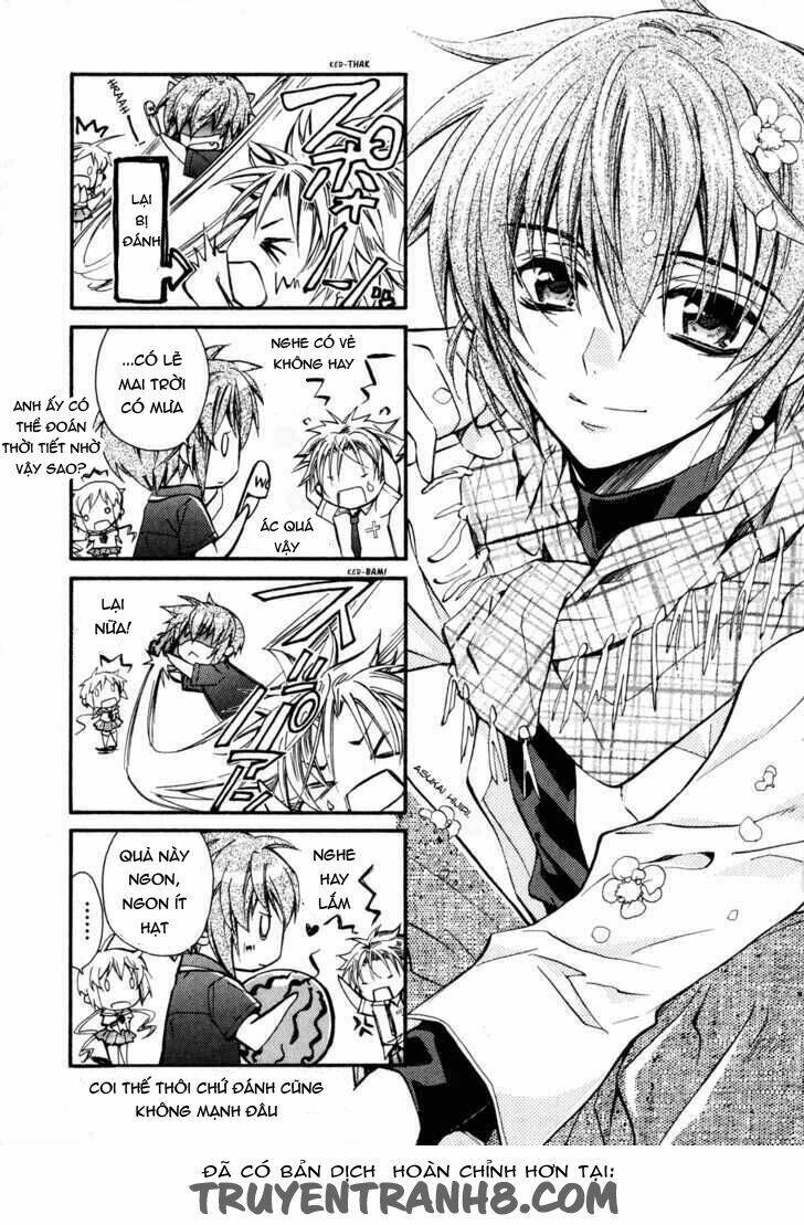 S.L.H (Stray Love Hearts): Chapter 12