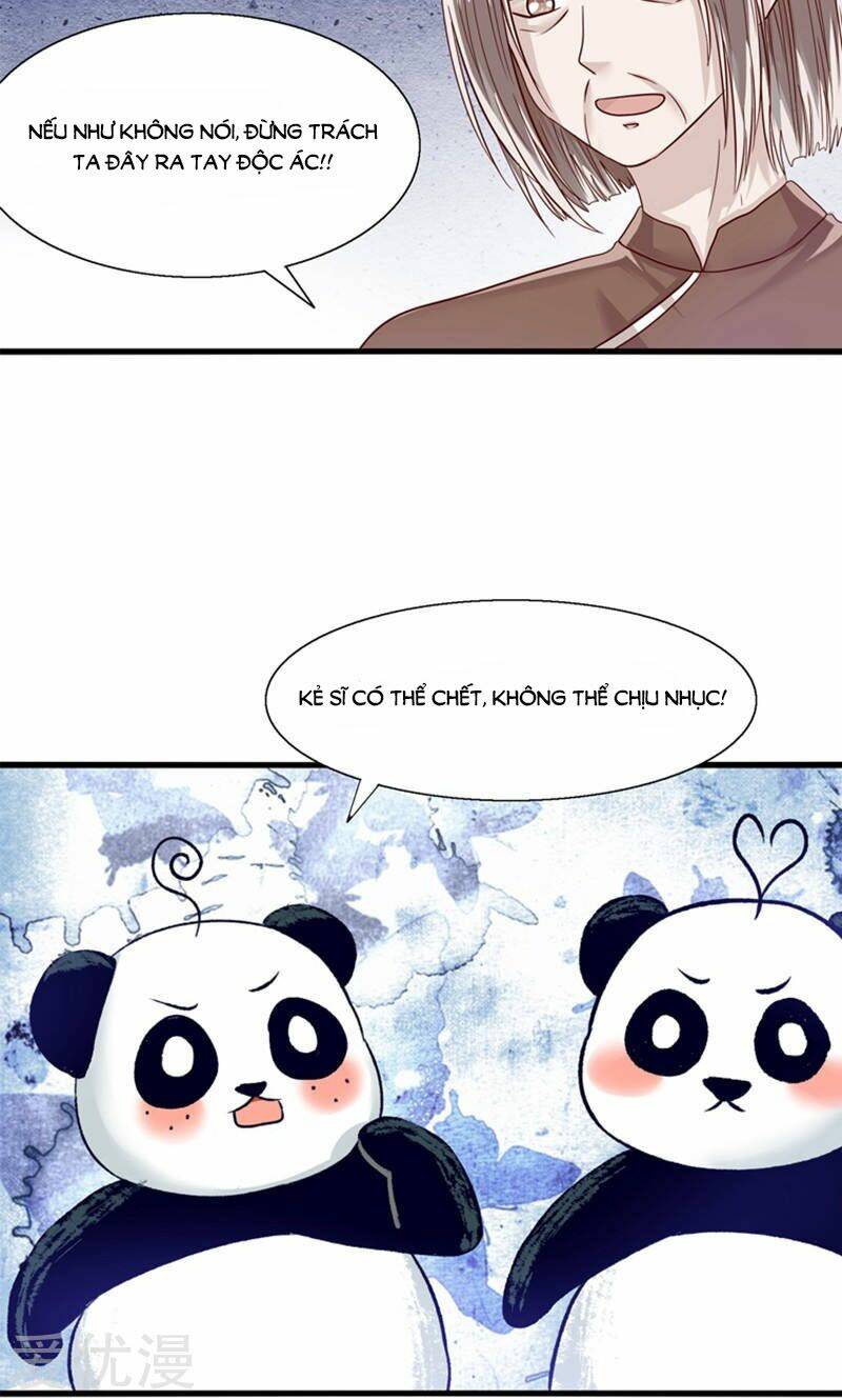 Tôi Bị Gấu Trúc Nhìn Trúng Rồi: Chapter 15