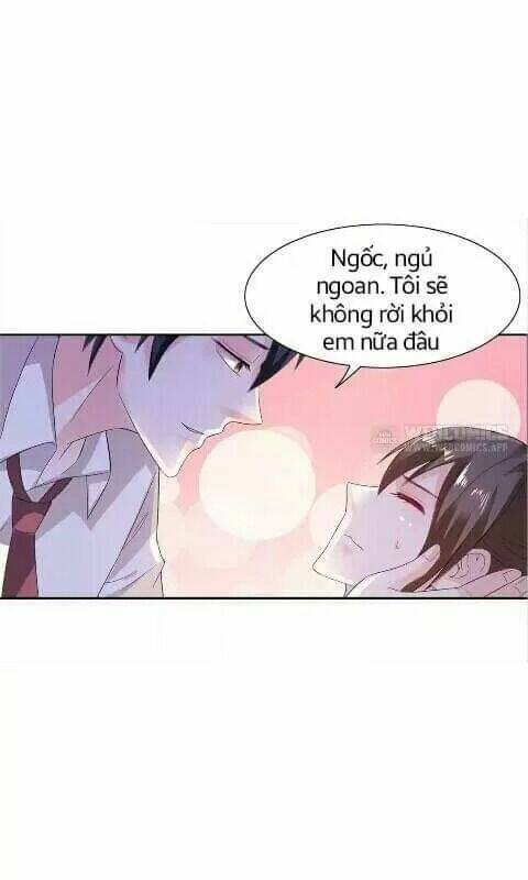 1 Nửa Hoàn Hảo Của Ceo: Chapter 29