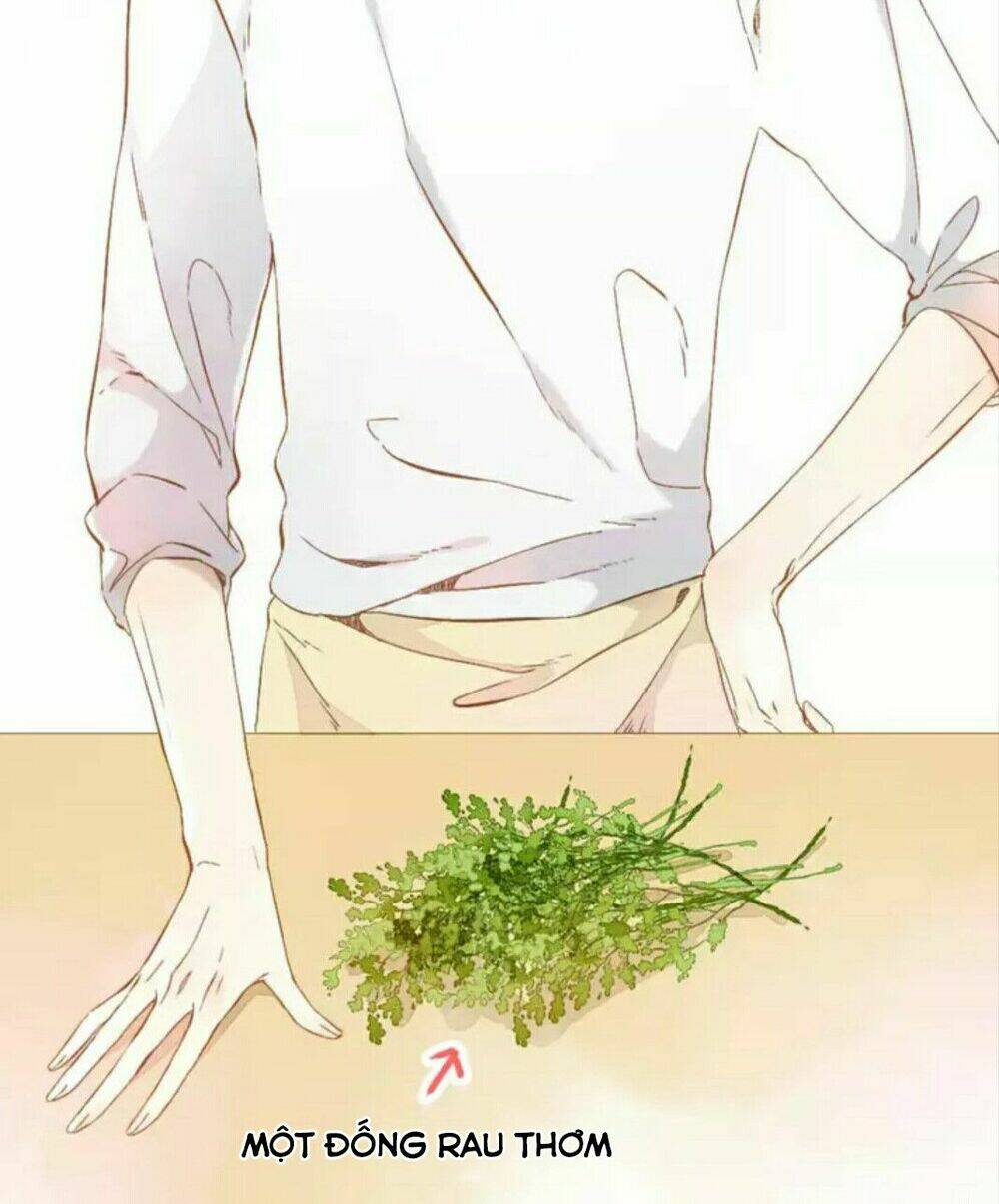 Tình Yêu Là Màu Hoa Anh Thảo: Chapter 29.2