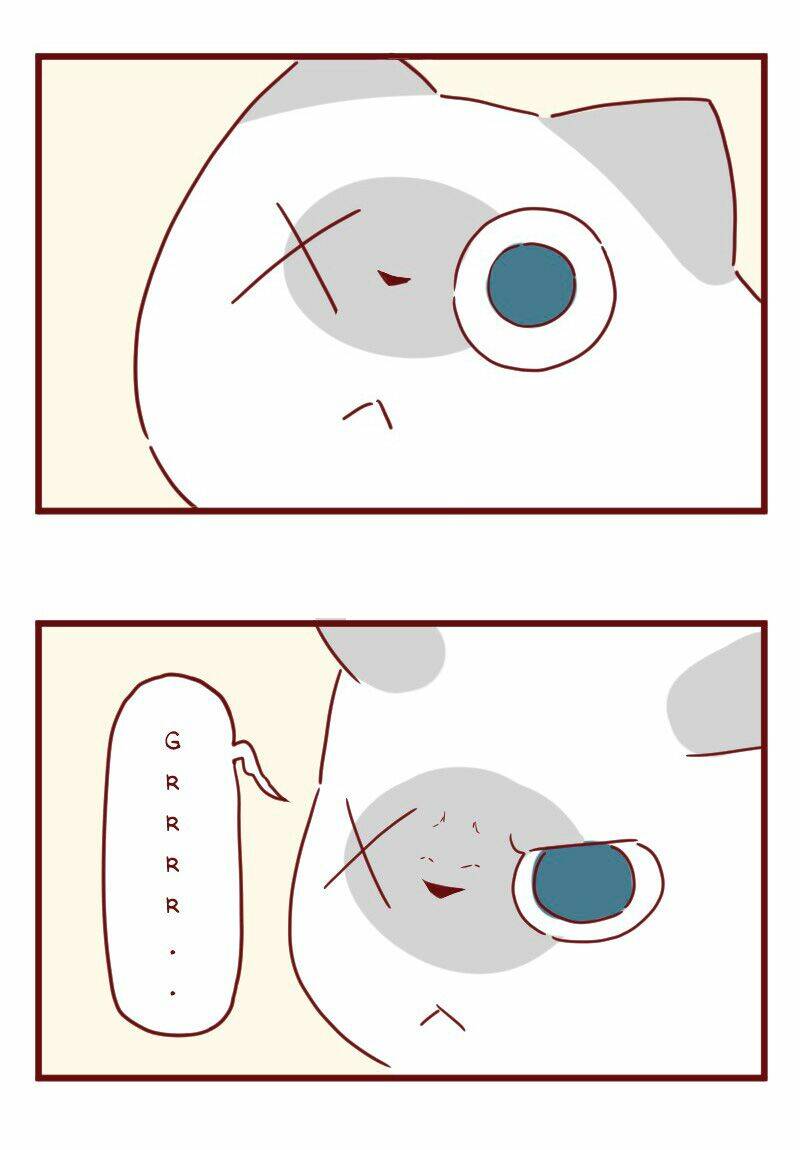 Saphie: Chú mèo một mắt: Chapter 27