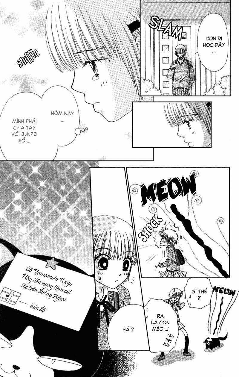 Dự Án Kéo Vàng: Chapter 2