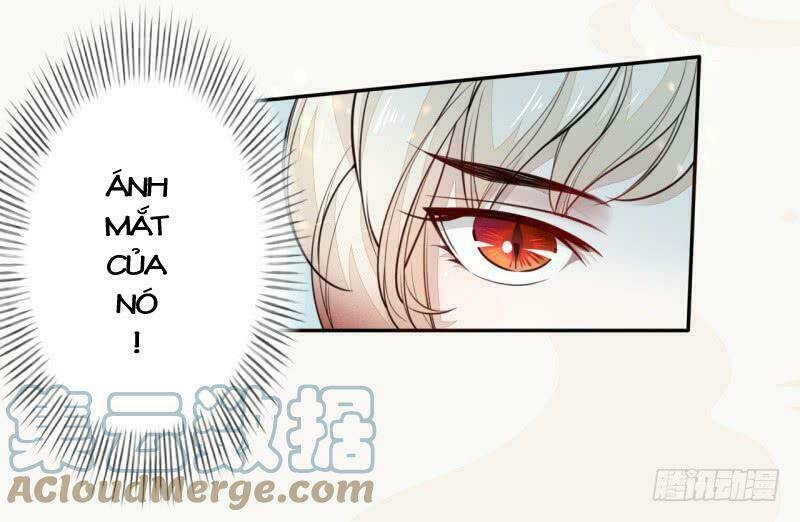 Tuyệt Thế Luyện Đan Sư: Chapter 33