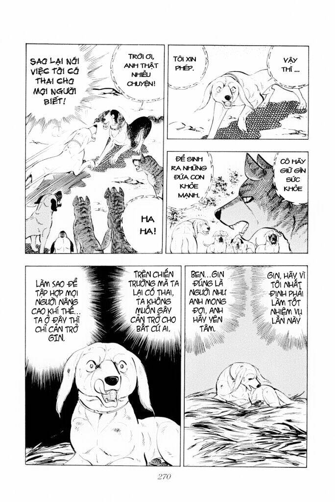 Chú Chó Có Nghĩa - Ginga Nagareboshi Gin: Chapter 30.1