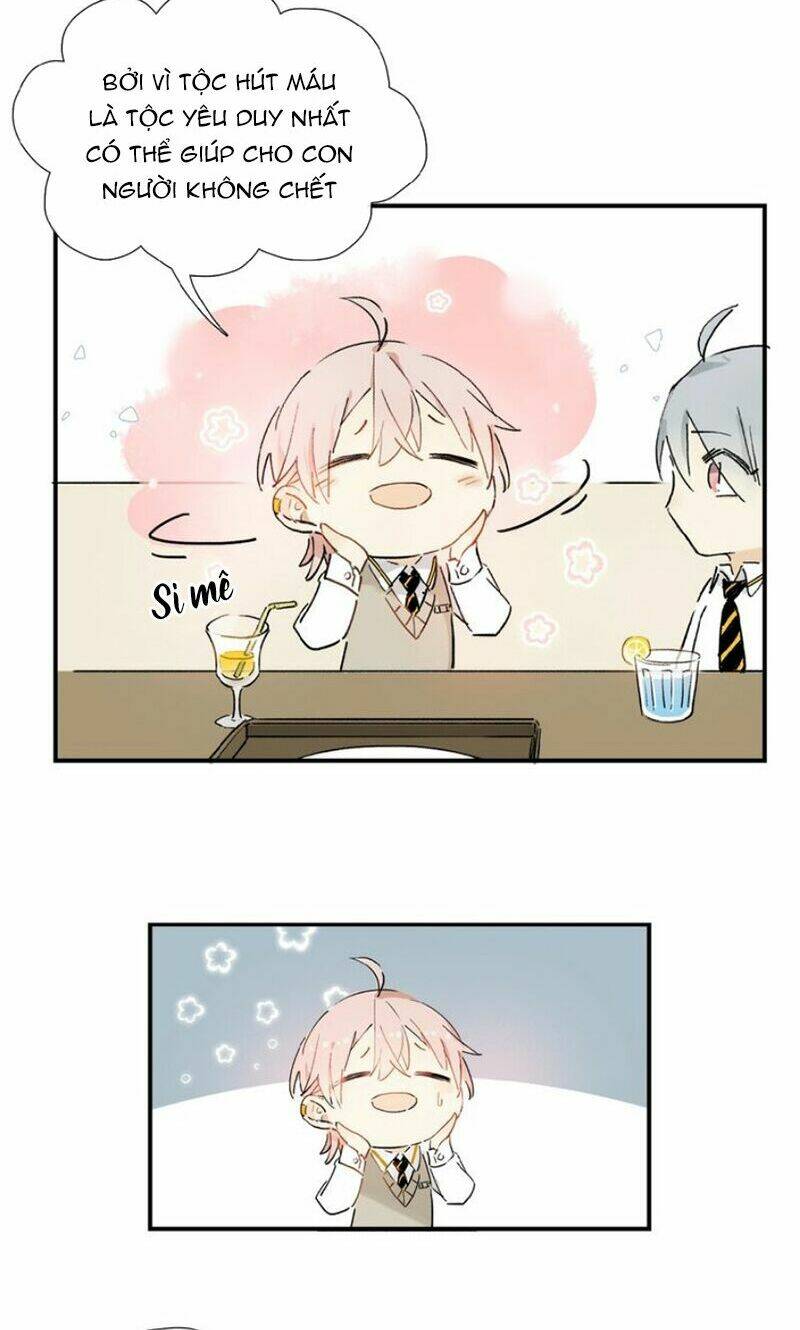 Phép Tắc Trường Ogus: Chapter 12