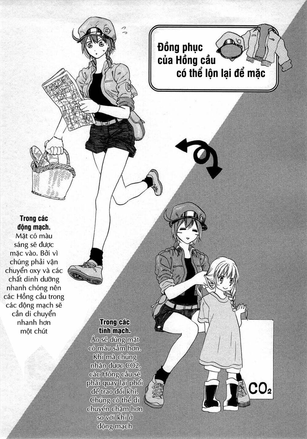 Hataraku Saibou!: Chapter 2