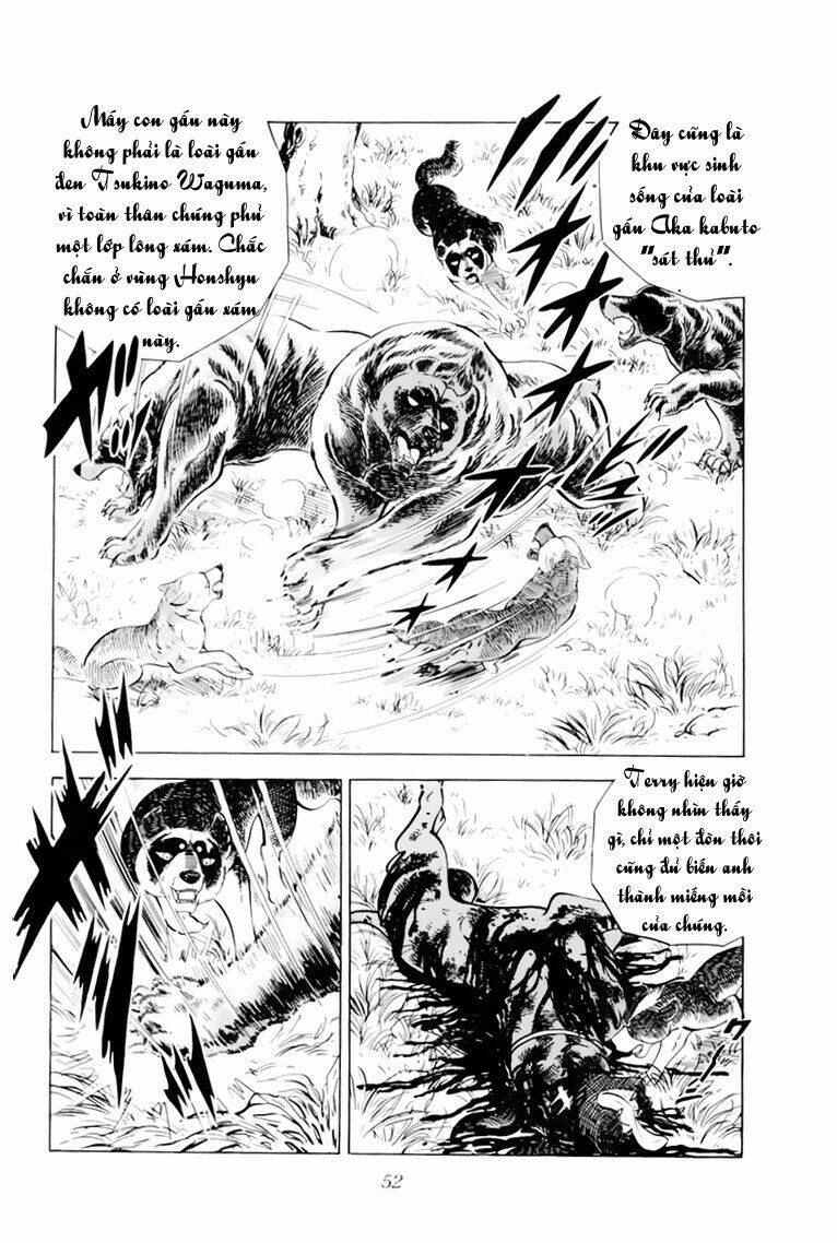 Chú Chó Có Nghĩa - Ginga Nagareboshi Gin: Chapter 32.1