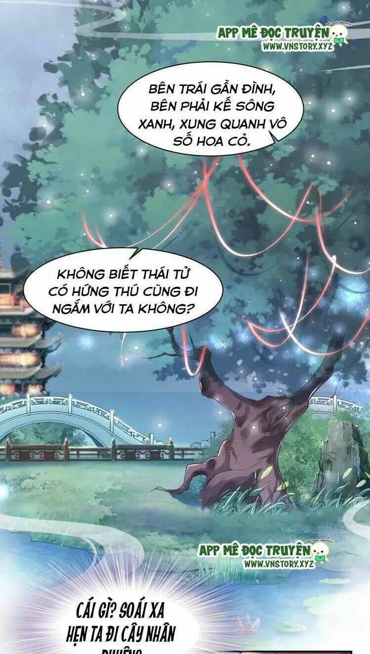 Nhất Sinh Nhất Thế Tiếu Thương Khung: Chapter 27