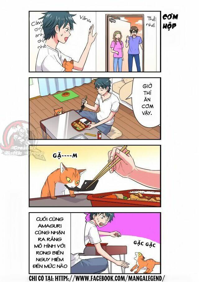 Cat is silver vine: Chapter 29