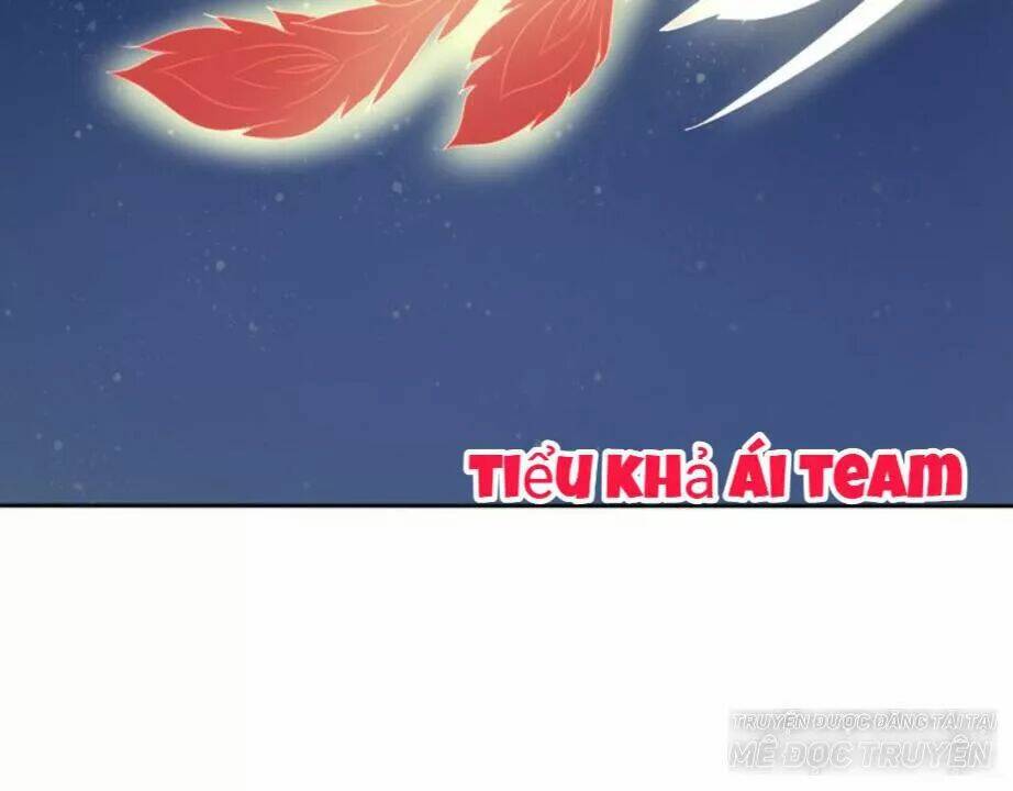 Tước Kiều Tiên: Chapter 3.2