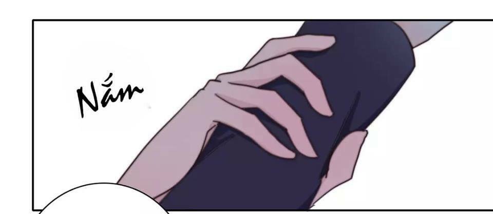 Trái Tim Băng Giá: Chapter 19