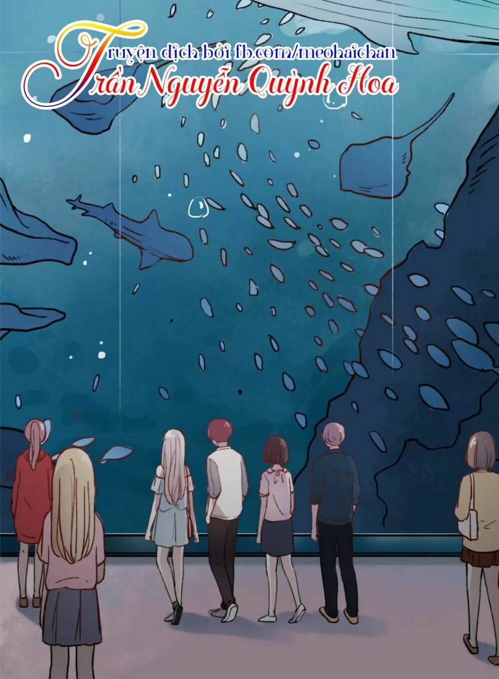 Cậu Đã Từng Yêu Tôi: Chapter 5