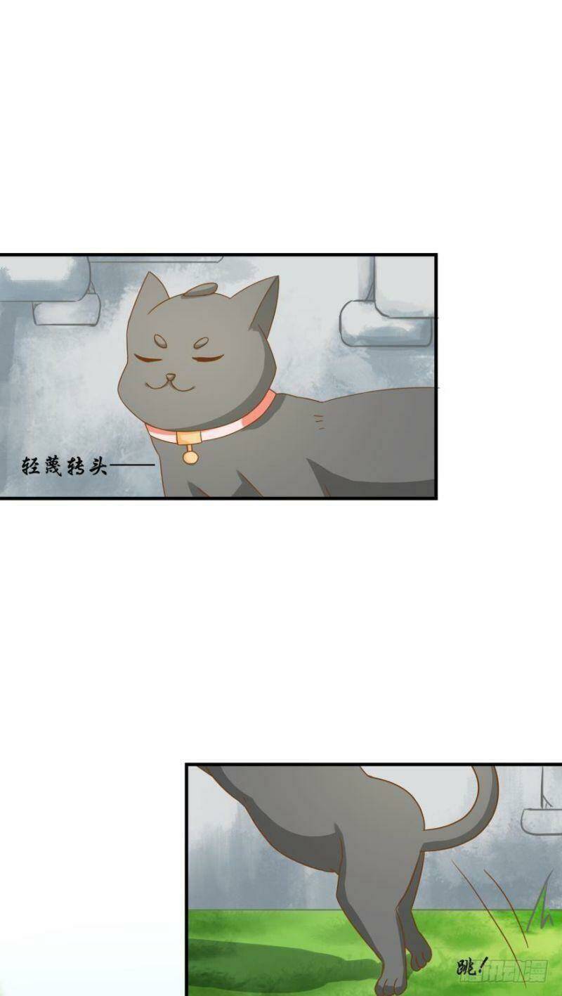 Nhân Ngư Học Trưởng, Đừng Ôm Ta!: Chapter 63