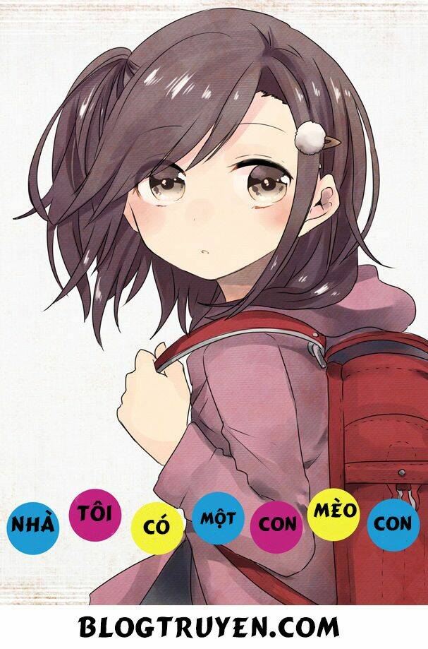 Koneko Hiroimashita: Chapter 6