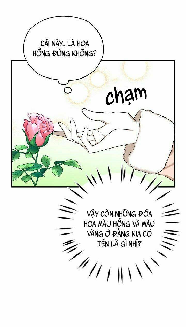 Ba Người Anh Trai Của Tôi Là Bạo Quân: Chapter 28