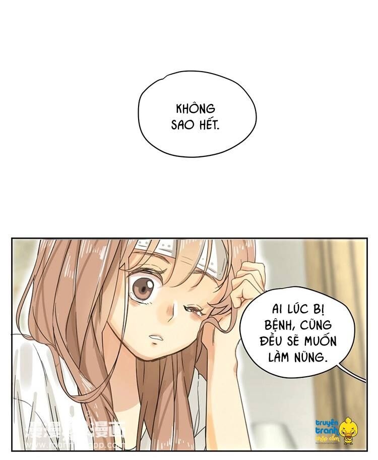 Cứu mạng ! Loài mèo thống trị thế giới rồi !: Chapter 14