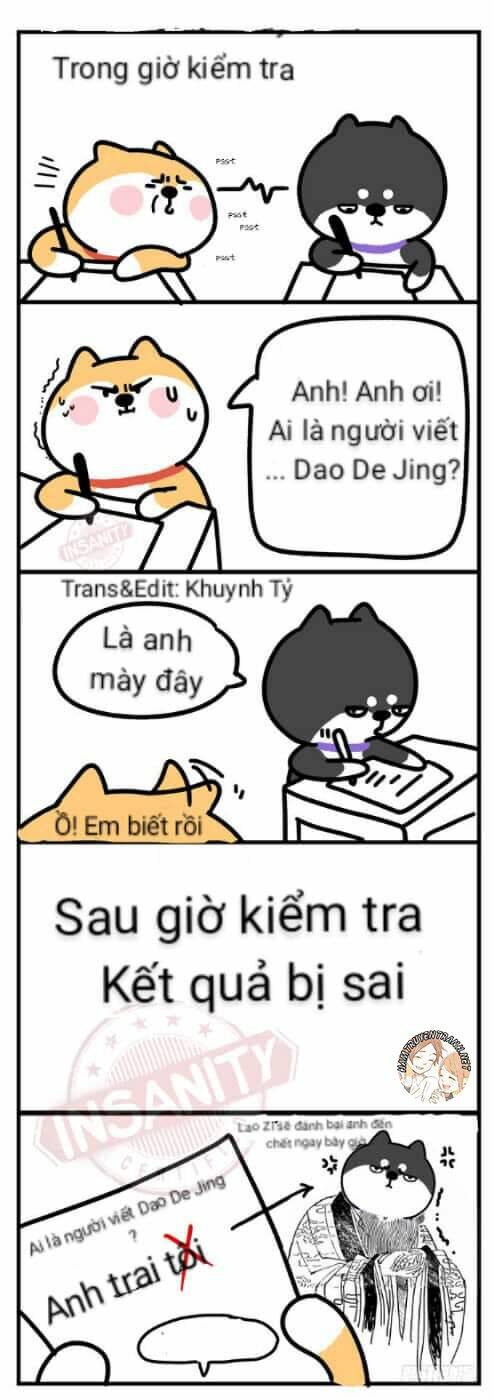 Anh Em Shiba: Chapter 4