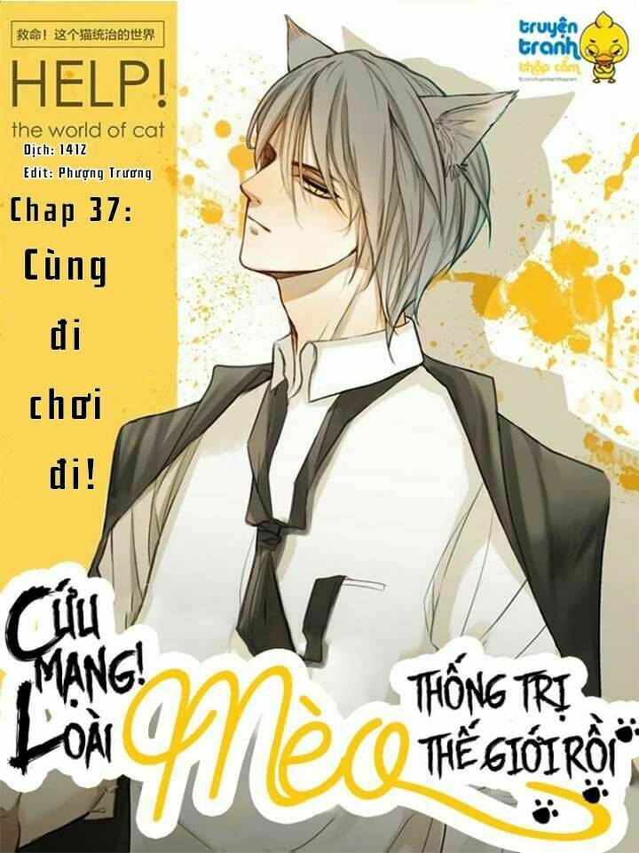 Cứu Mạng! Loài Mèo Thống Trị Thế Giới Rồi!: Chapter 37