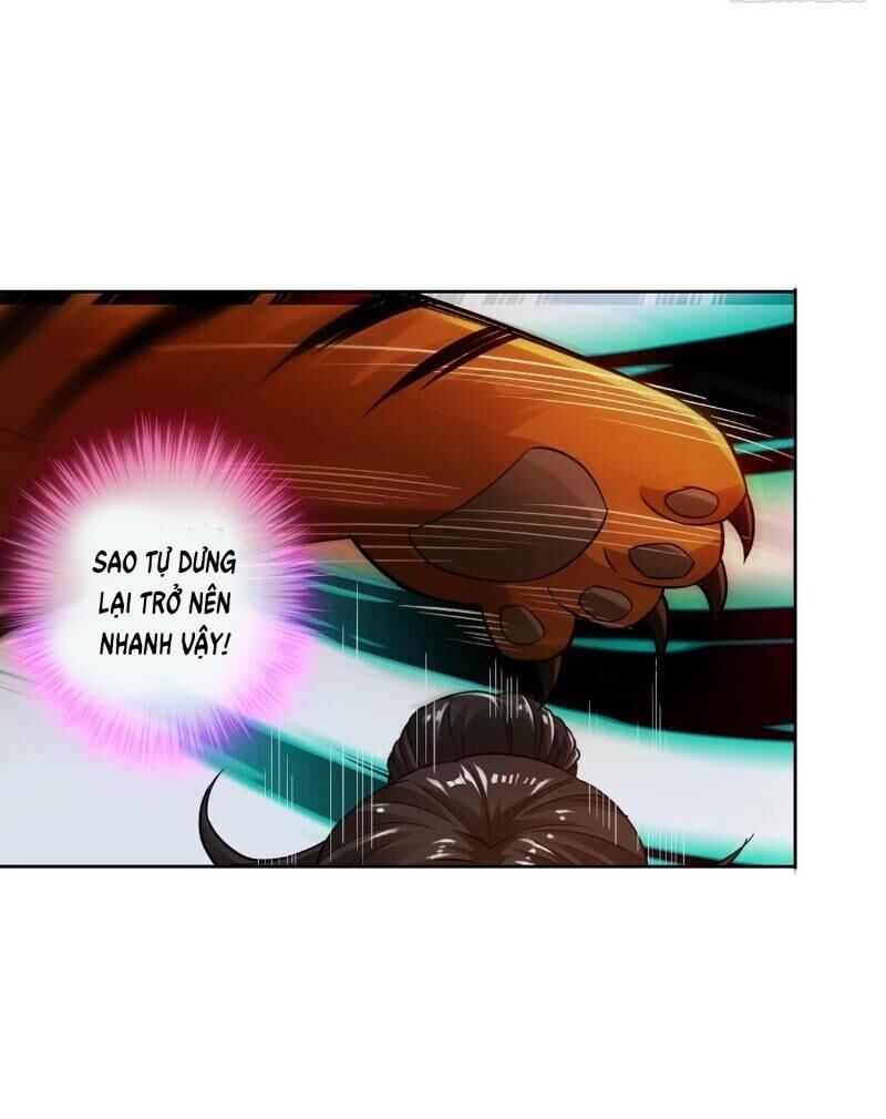 Hệ Thống Tìm Đường Chết Mạnh Nhất: Chapter 41