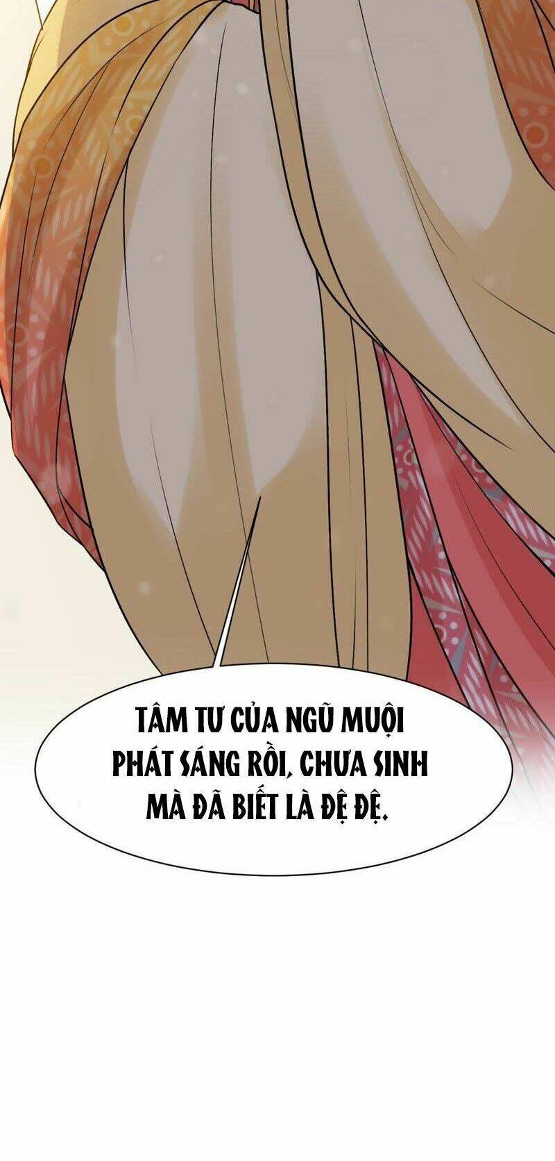 Thịnh Sủng Kiều Nữ Trở Về Triều Ca: Chapter 42