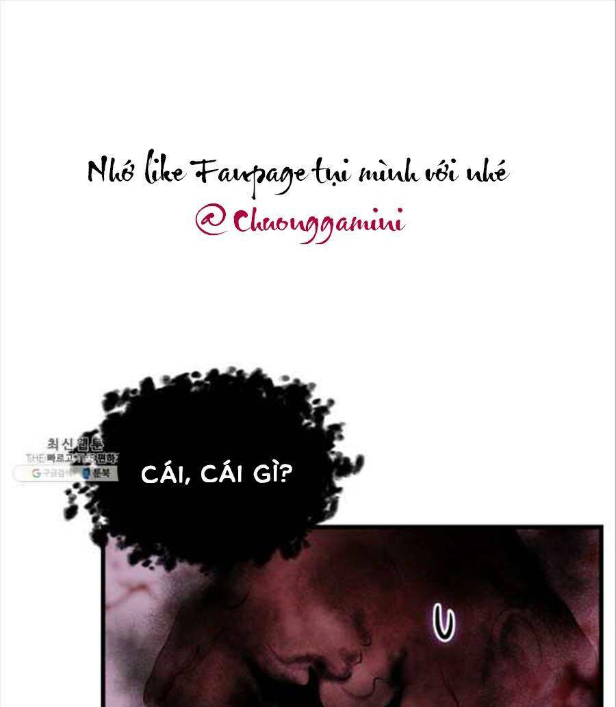 Cô Dâu Của Sói Đen: Chapter 24