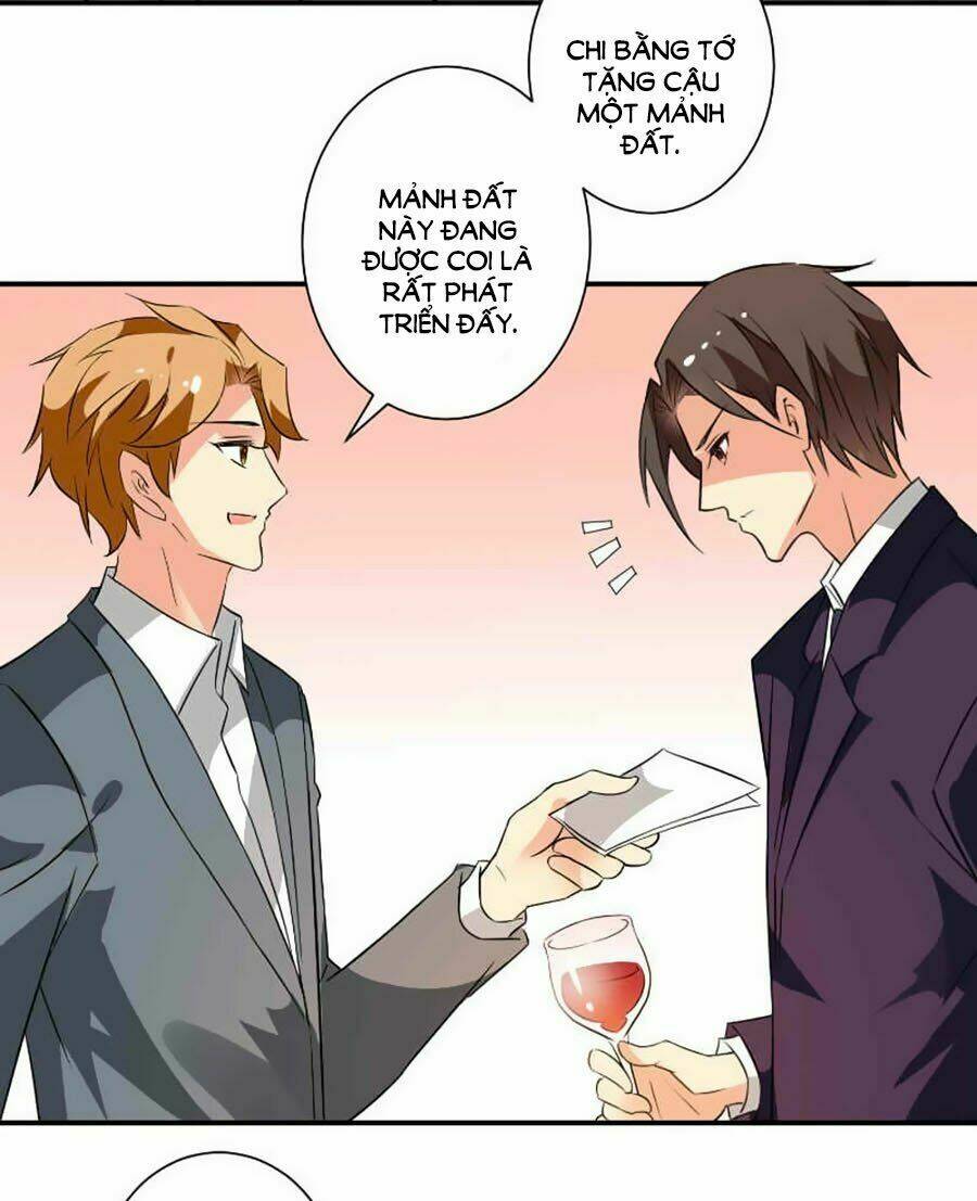 Vợ Yêu Là Báu Vật: Chapter 11