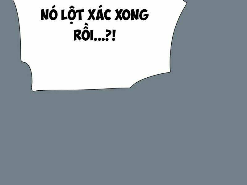 Các Chòm Sao Chỉ Chú Ý Mình Tôi: Chapter 9