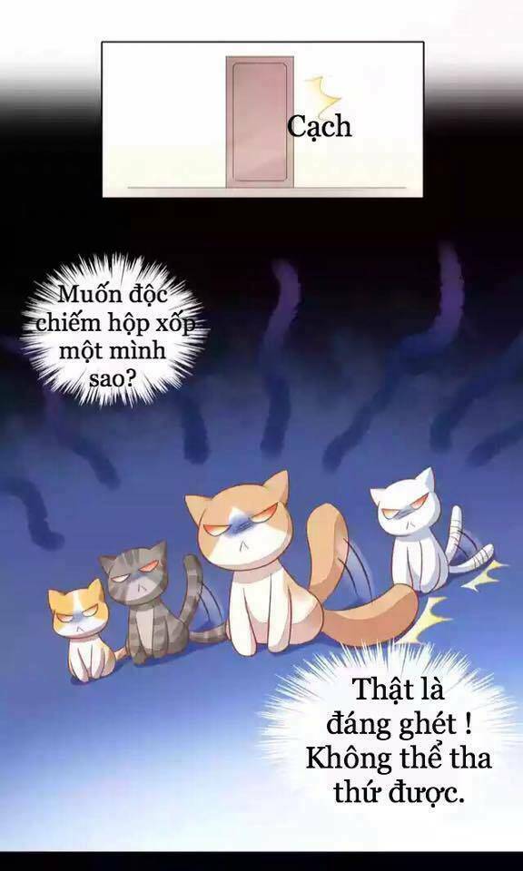 Dưới Móng Vuốt Mèo: Chapter 12