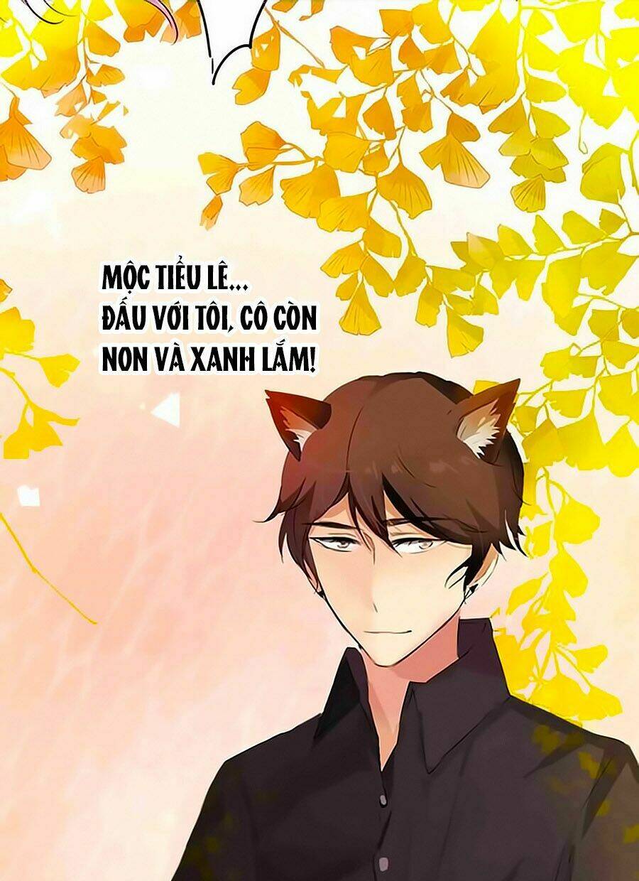 Bạn Trai Là Ngôi Sao: Chapter 11