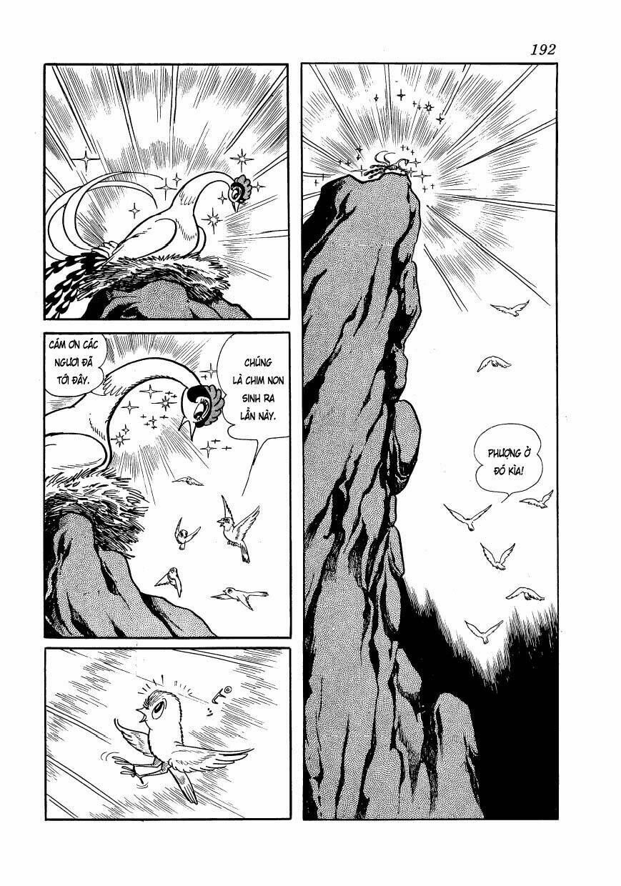 Chim Lửa: Chapter 48