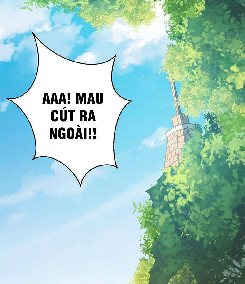 Tọa Ủng Tinh Cầu: Chapter 4