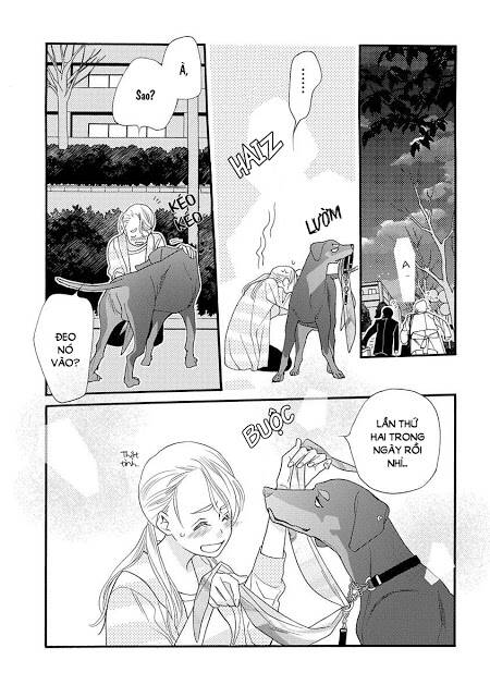Koisuru Moon Dog: Chapter 1