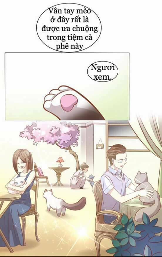 Dưới Móng Vuốt Mèo: Chapter 8