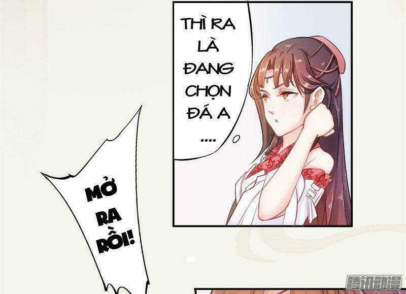 Tuyệt Thế Luyện Đan Sư: Chapter 6