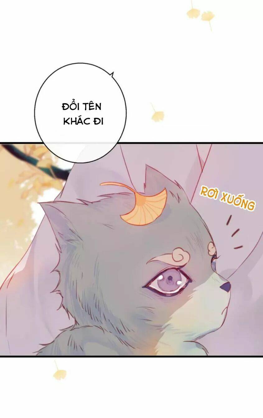 Hồ Minh Chi Hương: Chapter 9